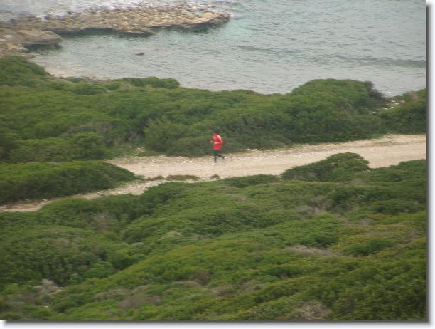 Clicca per scorrere le foto originali ingrandite