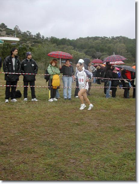 Foto successiva