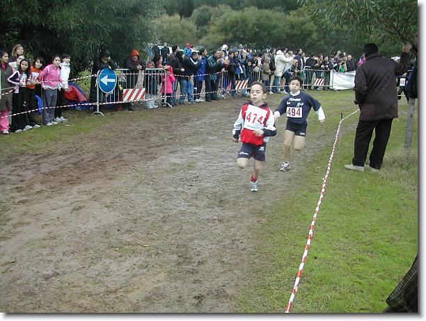 Foto successiva