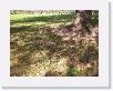 IMG_0037 * 2560 x 1920 * (3.95MB)