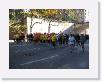 IMG_0357 * 2272 x 1704 * (2.19MB)