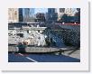 IMG_0371 * 2272 x 1704 * (2.23MB)