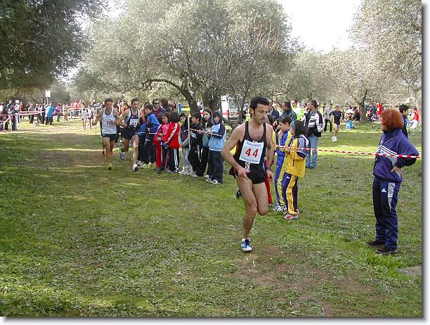 Foto successiva