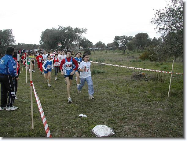 Foto successiva