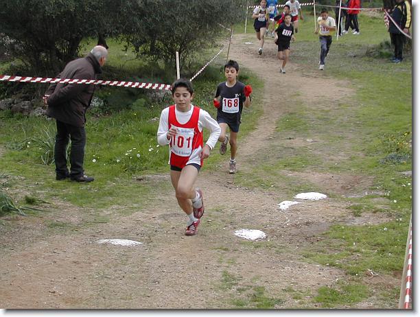 Foto successiva