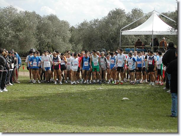Foto successiva