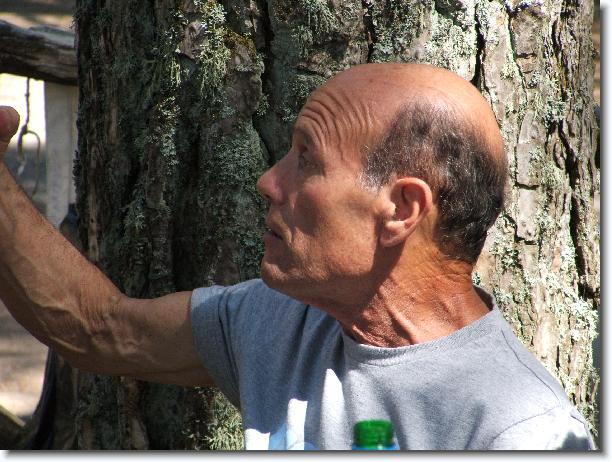 Clicca per scorrere le foto originali ingrandite