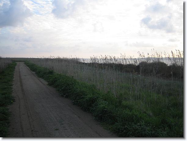 Foto successiva