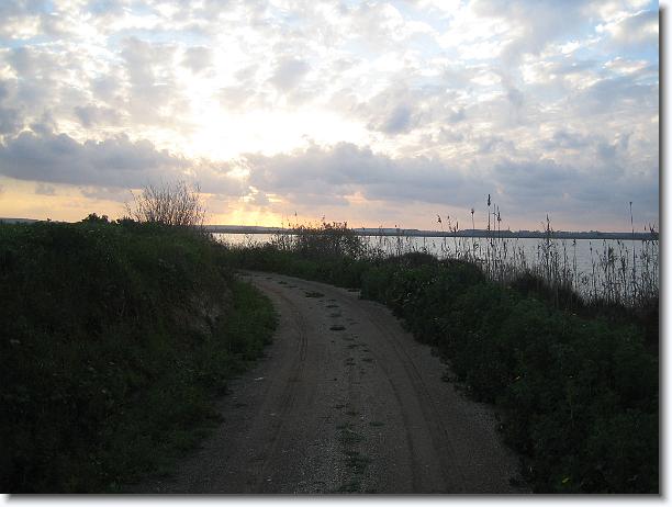 Foto successiva