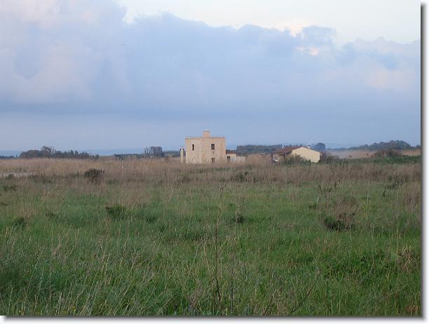 Foto successiva
