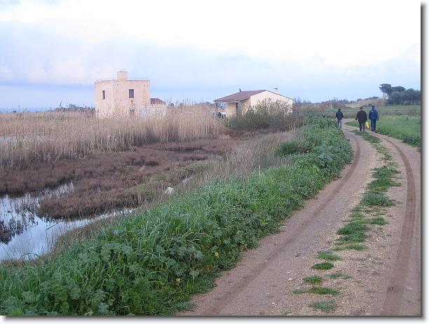 Foto successiva