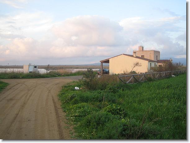 Foto successiva