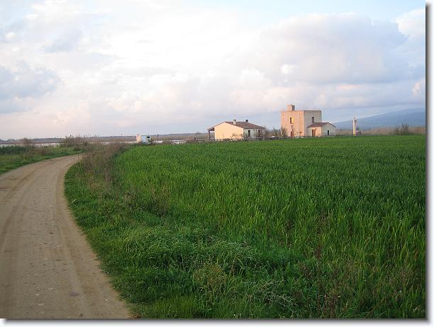 Foto successiva