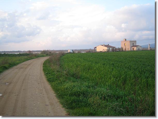 Foto successiva