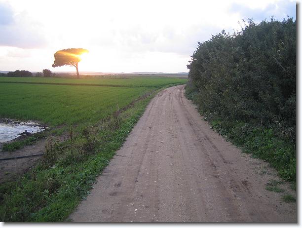 Foto successiva