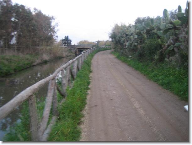 Foto successiva