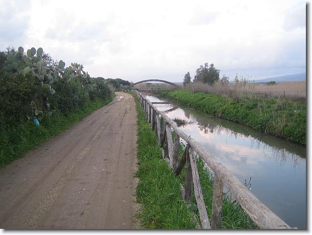 Foto successiva