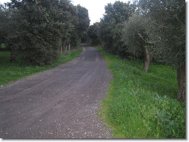 Foto successiva