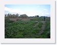 IMG_7022 * 2272 x 1704 * (1.17MB)