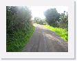 IMG_7025 * 2272 x 1704 * (1.53MB)