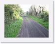 IMG_7027 * 2272 x 1704 * (1.92MB)