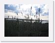 IMG_7034 * 2272 x 1704 * (943KB)