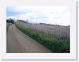 IMG_7036 * 2272 x 1704 * (1.05MB)