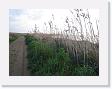 IMG_7041 * 2272 x 1704 * (1.19MB)
