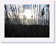IMG_7042 * 2272 x 1704 * (1.11MB)