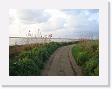 IMG_7044 * 2272 x 1704 * (1.09MB)