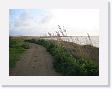 IMG_7045 * 2272 x 1704 * (1016KB)