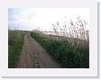 IMG_7048 * 2272 x 1704 * (1.07MB)