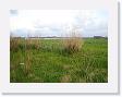 IMG_7054 * 2272 x 1704 * (1.4MB)