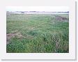 IMG_7057 * 2272 x 1704 * (1.46MB)