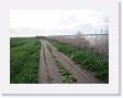 IMG_7065 * 2272 x 1704 * (1.23MB)