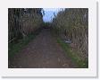 IMG_7087 * 2272 x 1704 * (1.5MB)