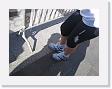 IMG_7472 * 2272 x 1704 * (1.09MB)