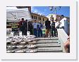 IMG_7500 * 2272 x 1704 * (1.36MB)
