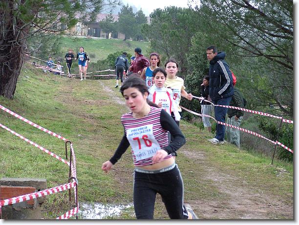 Foto successiva