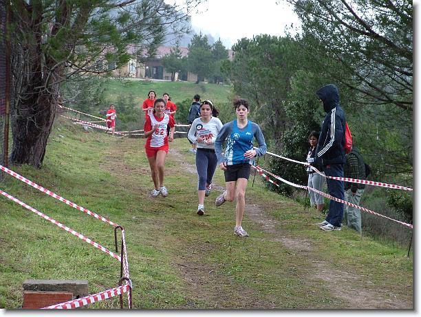 Foto successiva