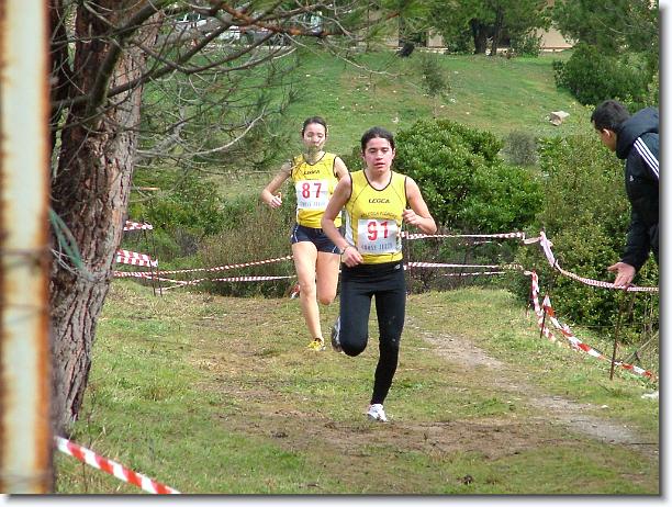 Foto successiva
