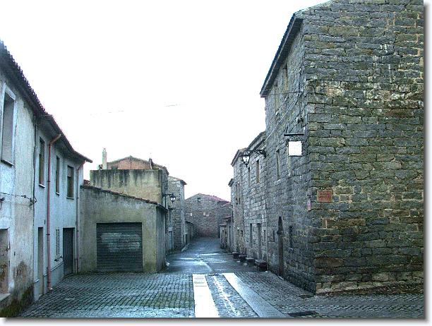 Foto successiva