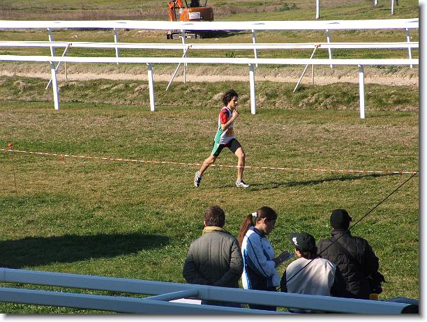 Foto successiva