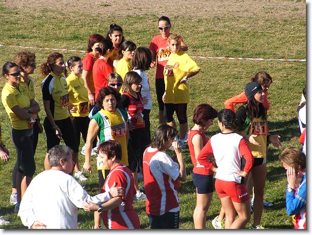 Foto successiva