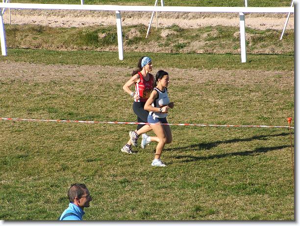 Foto successiva