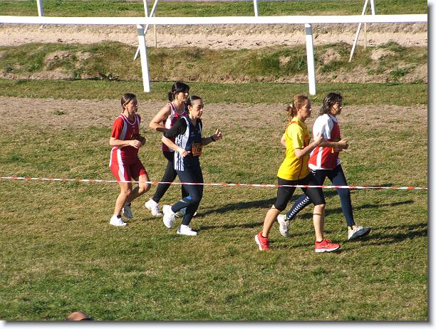 Foto successiva
