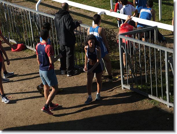 Foto successiva