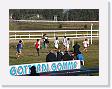 DSCF0146 * 2272 x 1704 * (1.07MB)