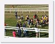 DSCF0183 * 2272 x 1704 * (1.09MB)