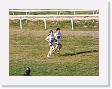DSCF0186 * 2272 x 1704 * (1.1MB)